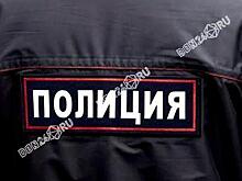 Полицейские со служебными собаками проверили ТЦ в Ростове