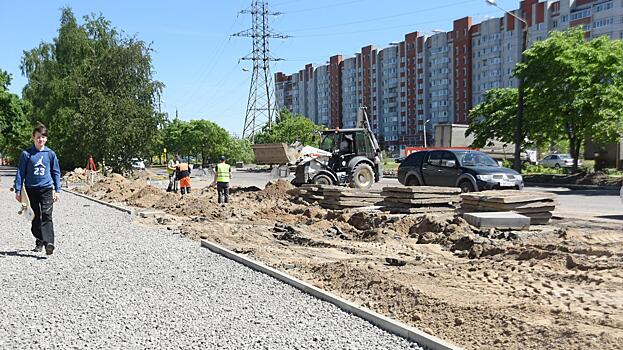 Зеленые аллеи «вырастут» вдоль дорог, отремонтированных по нацпроекту в Вологде