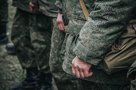 Анна Дубасова поддержала инициативу Вячеслава Федорищева по расширению оснований для предоставления бесплатных земельных участков бойцам СВО