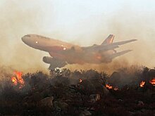 Украина, беспорядки и один довольный слон. Непростой 2022 год — на лучших снимках фотографов Reuters