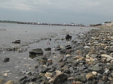 В Советском районе Волгограда откроется благоустроенный пляж