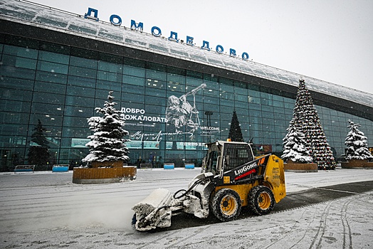 Из-за сильного снегопада в московских аэропортах отменили 11 рейсов