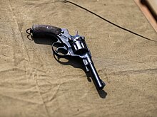 Кровавая банда из Подмосковья лишила жизни десять человек