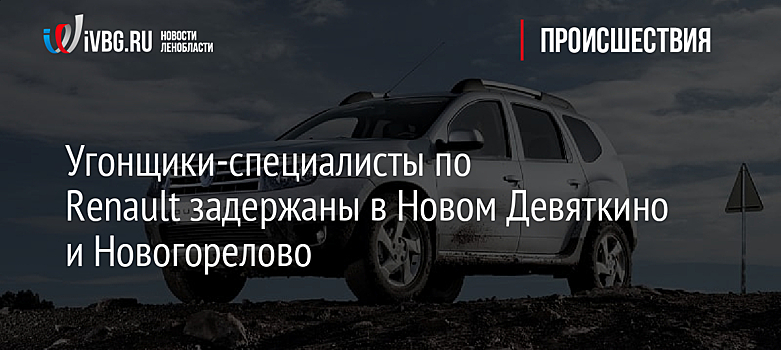 Угонщики-специалисты по Renault задержаны в Новом Девяткино и Новогорелово