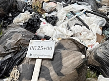 В омской мэрии прокомментировали появление табличек «Стройтраста» на свалке в Чукреевке