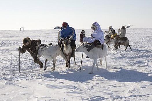 Майя Ломидзе рассказала, почему арктический туризм никогда не станет массовым
