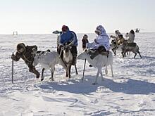 Майя Ломидзе рассказала, почему арктический туризм никогда не станет массовым
