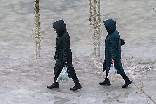 Об опасности резкого потепления предупредили в мэрии Новосибирска