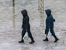 Об опасности резкого потепления предупредили в мэрии Новосибирска