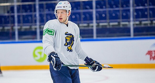СКА подтвердил переход Зоркина, набравшего 10 очков в 27 играх КХЛ. «Сочи» получил Ващенко, сыгравшего 2 матча в ВХЛ в этом сезоне