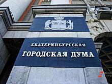 Топ-10 самых состоятельных депутатов Екатеринбурга: суммы и активы
