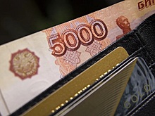 В Рязанской области возбудили уголовное дело в отношении руководителя фирмы, задолжавшего сотрудникам около 2 миллионов