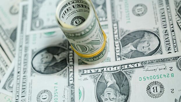 Роль доллара в мире резко выросла