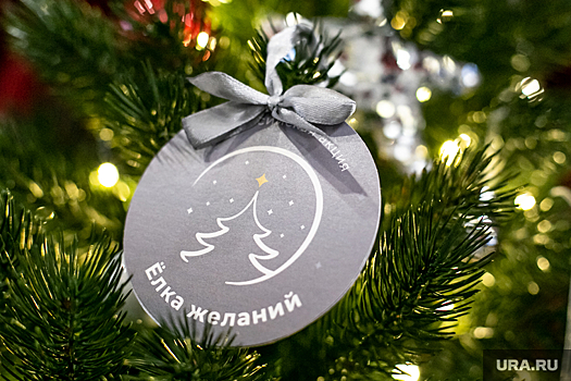 Депутат Госдумы Ремезков исполнит мечту курганской девочки на Новый год