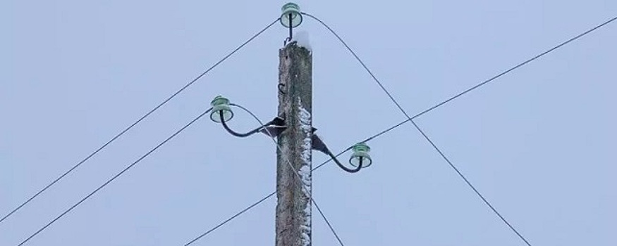 Псковские энергетики перешли на режим повышенной готовности из-за сильного снега