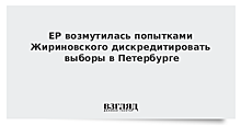 ЕР возмутилась попытками Жириновского дискредитировать выборы в Петербурге