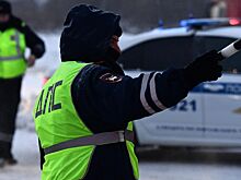 Глава российского УФАС попал в аварию на снегоходе