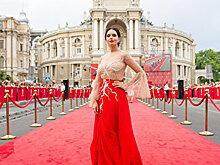 Мрак мозга: Разложение – это все, на что способна украинская элита