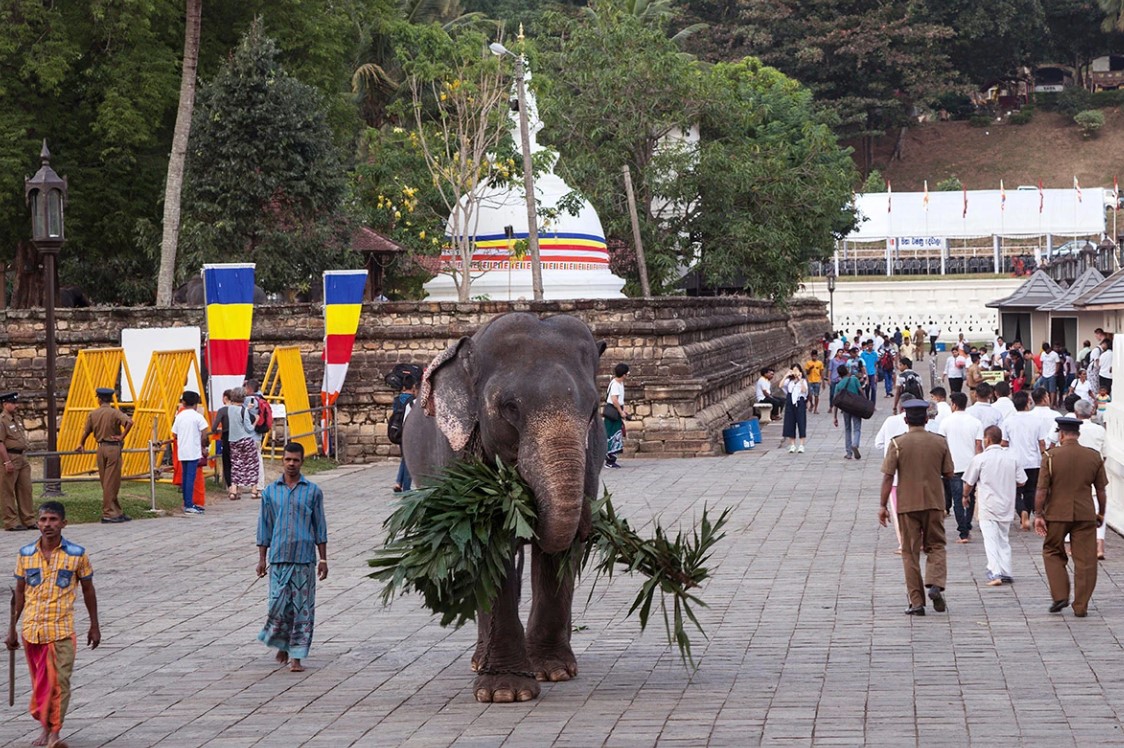 В России может увеличиться число мигрантов из Шри-Ланки