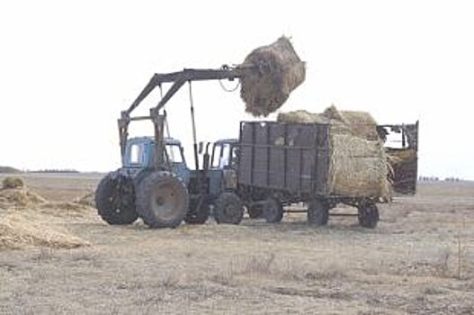 Власти выделят 55 млн рублей на создание новых фермерских хозяйств