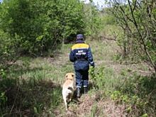 Еще один подросток без вести пропал в Новосибирской области
