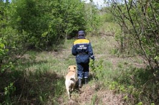 В Петербурге найден пропавший 22 октября спасатель-поисковик