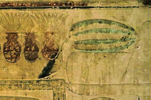 Анализ ДНК подтвердил смелую догадку о Древнем Египте