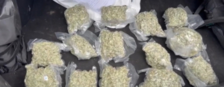 Агроном с криминальным уклоном. В Москве полицейские задержали мужчину, который незаконно культивировал наркосодержащие растения