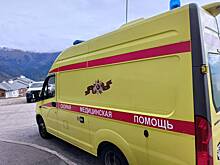 Водитель кормовоза пострадал при атаке БПЛА