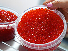 Биолог Пронина: подлинность красной икры можно проверить с помощью салфетки