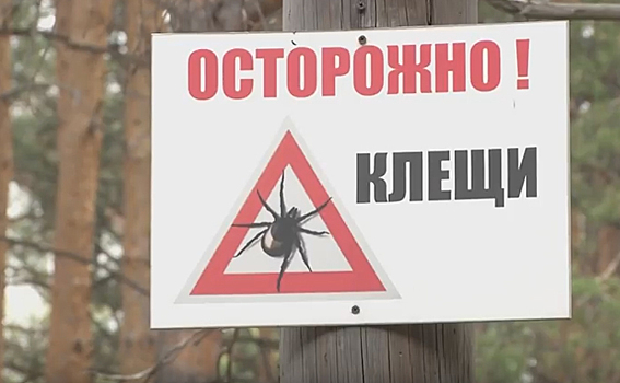 50 человек уже укусили клещи весной 2018