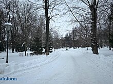 В горэлектросети прояснили вопрос с освещением в сквере Лермонтова