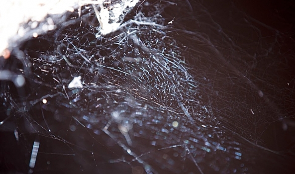 Житель Волгоградской области повредил автомобиль соседа, бросив в него камень