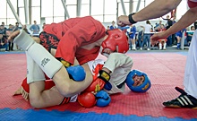 «Многие отказались от участия»: В Волгограде на юбилеях самбо отберут бойцов в сборную области