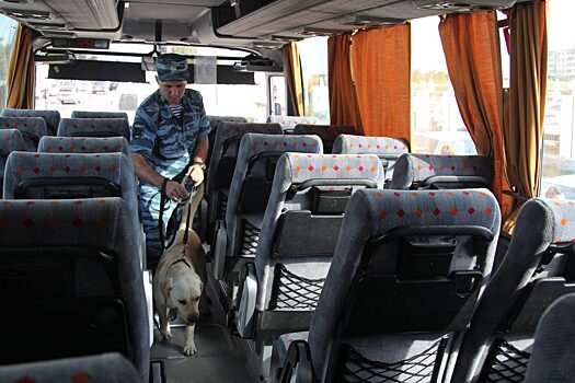 На Кубани полицейские задержали автобус с 22 нелегальными иммигрантами