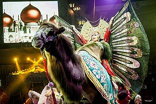 Впервые в Хабаровском цирке состоится шоу Гии Эрадзе "Песчаная сказка"