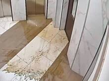 Депутат Госдумы рассказал о москвичке и тазике фекалий