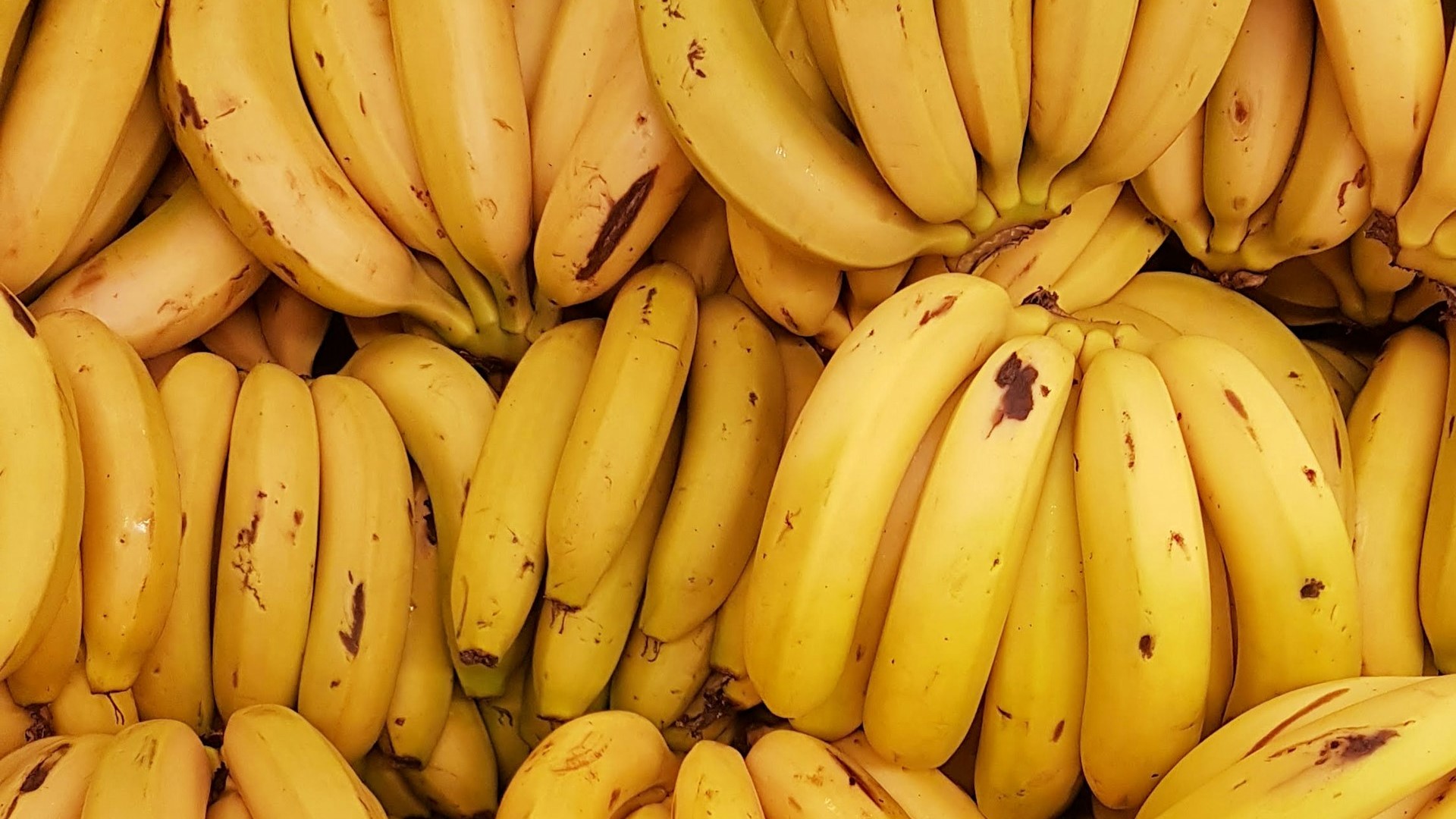 В порту Санкт-Петербурга обнаружили 60 кг кокаина в бананах