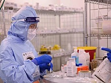 В российском регионе выявили 11 заболевших лихорадкой Западного Нила