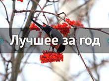 Лучшее за год. Февраль