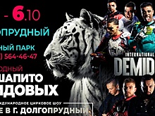 Зоозащитники не видят опасности в цирковом выступлении краснокнижных животных