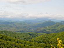 В Кубани считают, что турпоток должен составить около 17 млн человек