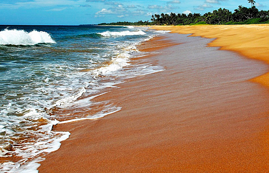 Власти Шри-Ланки заявили о готовности принять туристов в августе