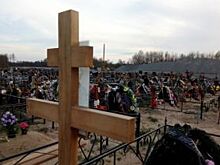 В Оренбуржье виновник смертельного ДТП будет платить пособие детям погибшей