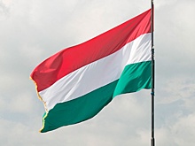 В Венгрии с 27 мая заправиться дешёвым бензином смогут только автомобили с местными номерами