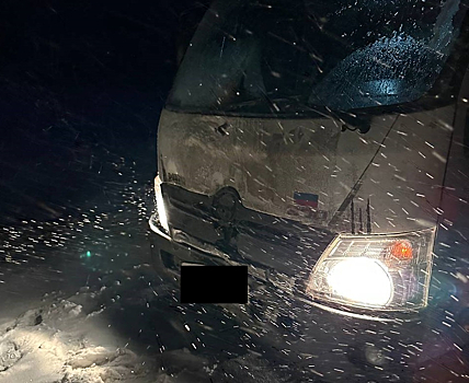 Грузовик насмерть сбил девушку в Тюменской области