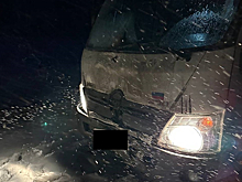 Грузовик насмерть сбил девушку в Тюменской области