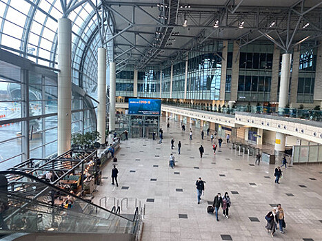 Аэропорт Домодедово обслужит более 800 тысяч пассажиров в период майских праздников