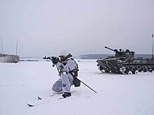 Боец ВС России поделился «веселыми ситуациями» при освобождении Дружбы
