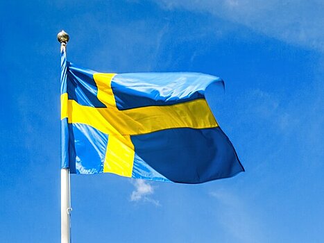 Неонацистский марш прошел в Швеции